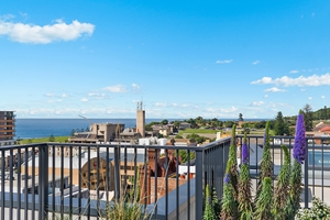 The View from the Rooftop Terraces at The Herald Apartments.